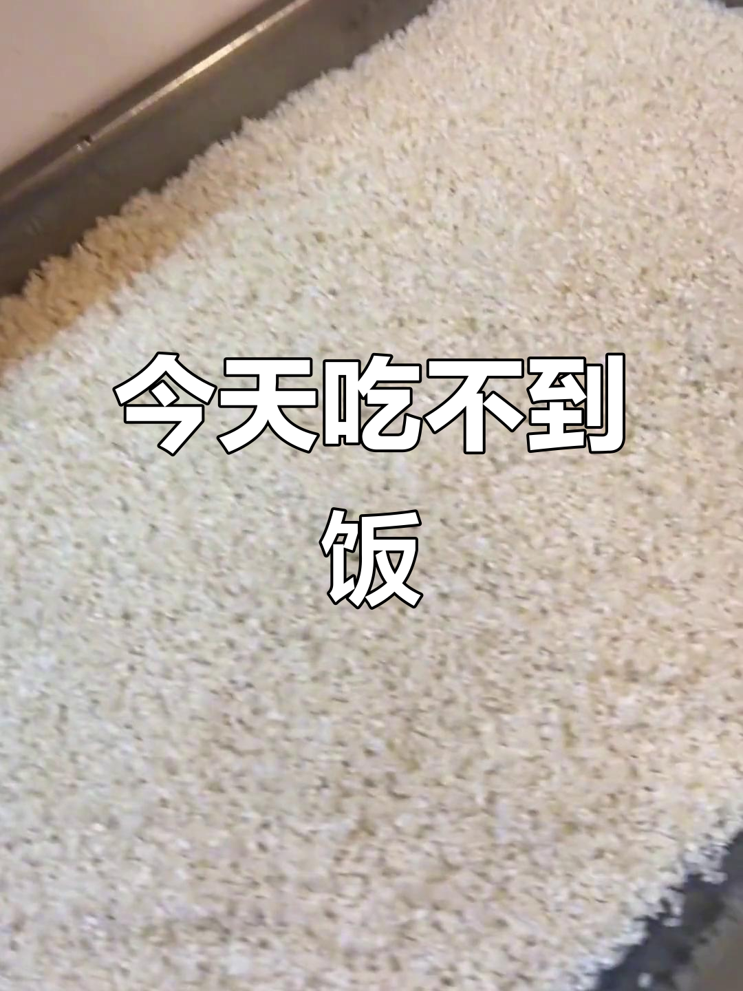 煮饭阿姨休息,大家都慌了!今天没饭吃了