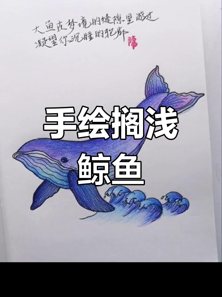彩铅画鲸鱼,治愈搁浅的抹香鲸