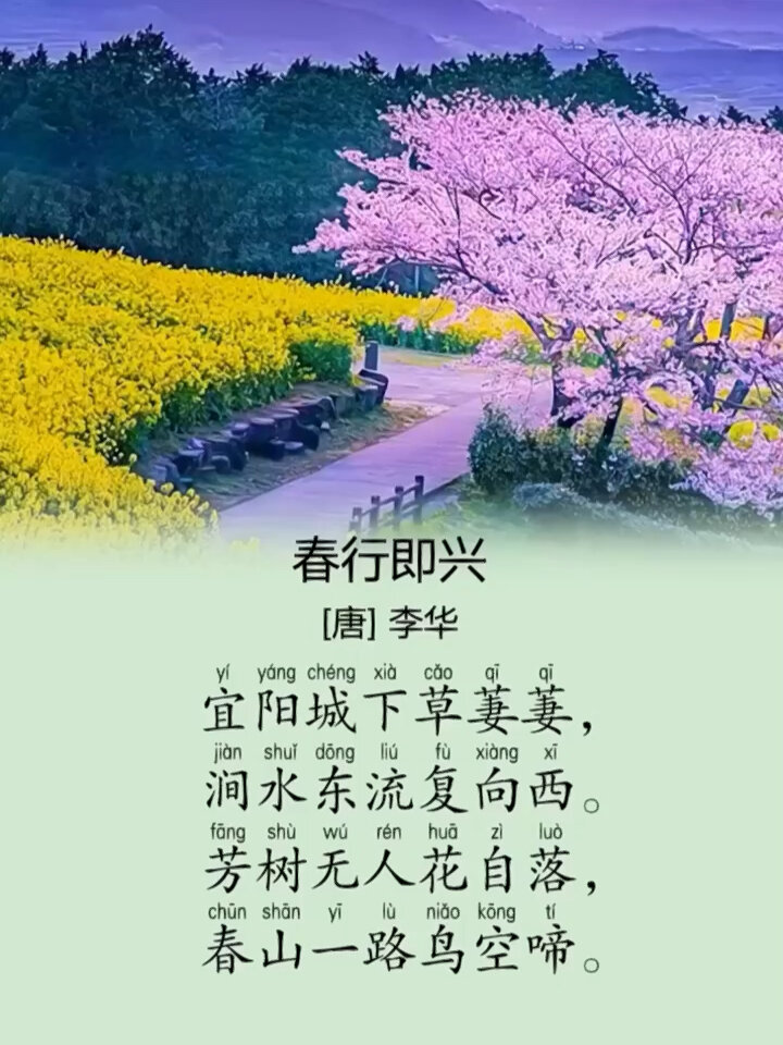 唐诗三百首《春行即兴》李华