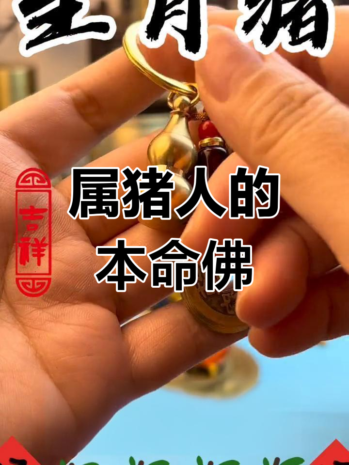 生肖猪本命的婚姻和运势(属猪的本命是什么)