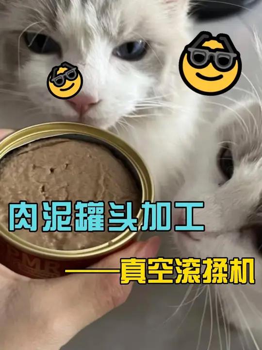 真空滚揉机腌牛肉 宠物肉罐头 宠物食品加工设备 肉制品真空滚揉机