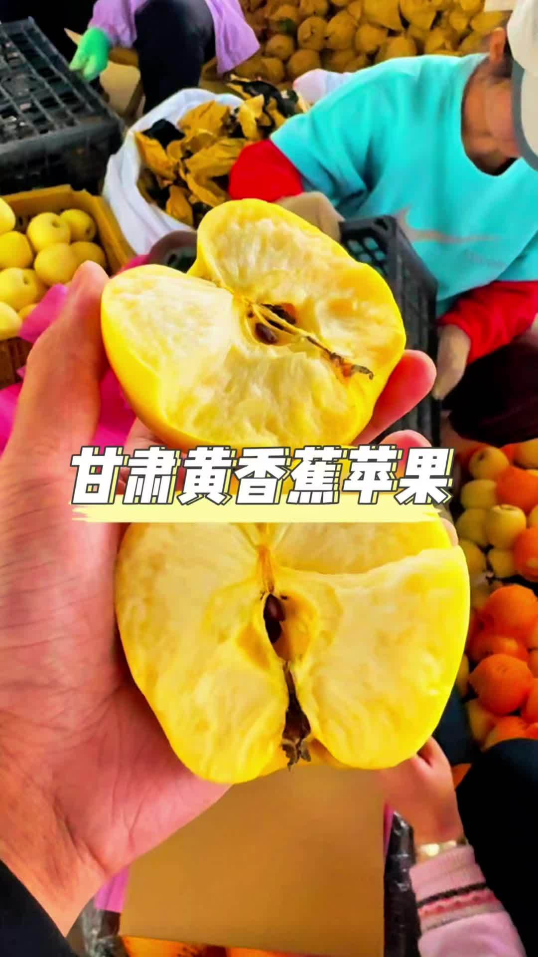 甘肃黄元帅苹果,特别适合老人和小孩吃的一款水果,老家叫黄香蕉,特别