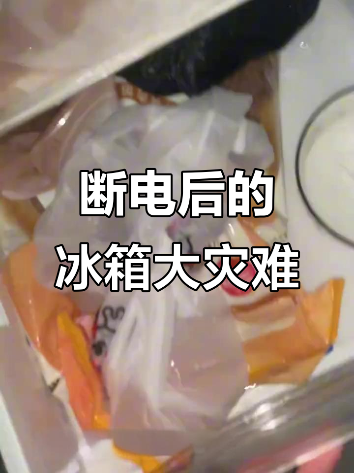 冰箱断电后食物变水,发霉鸡蛋和菜都坏了