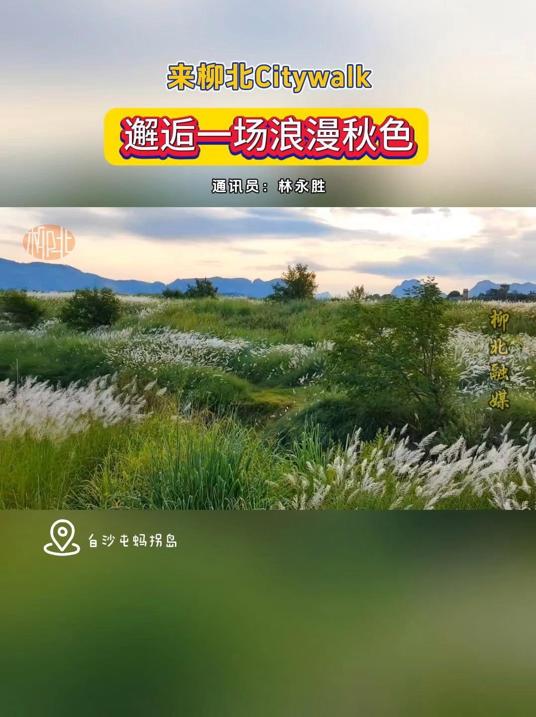 芦荻台图片