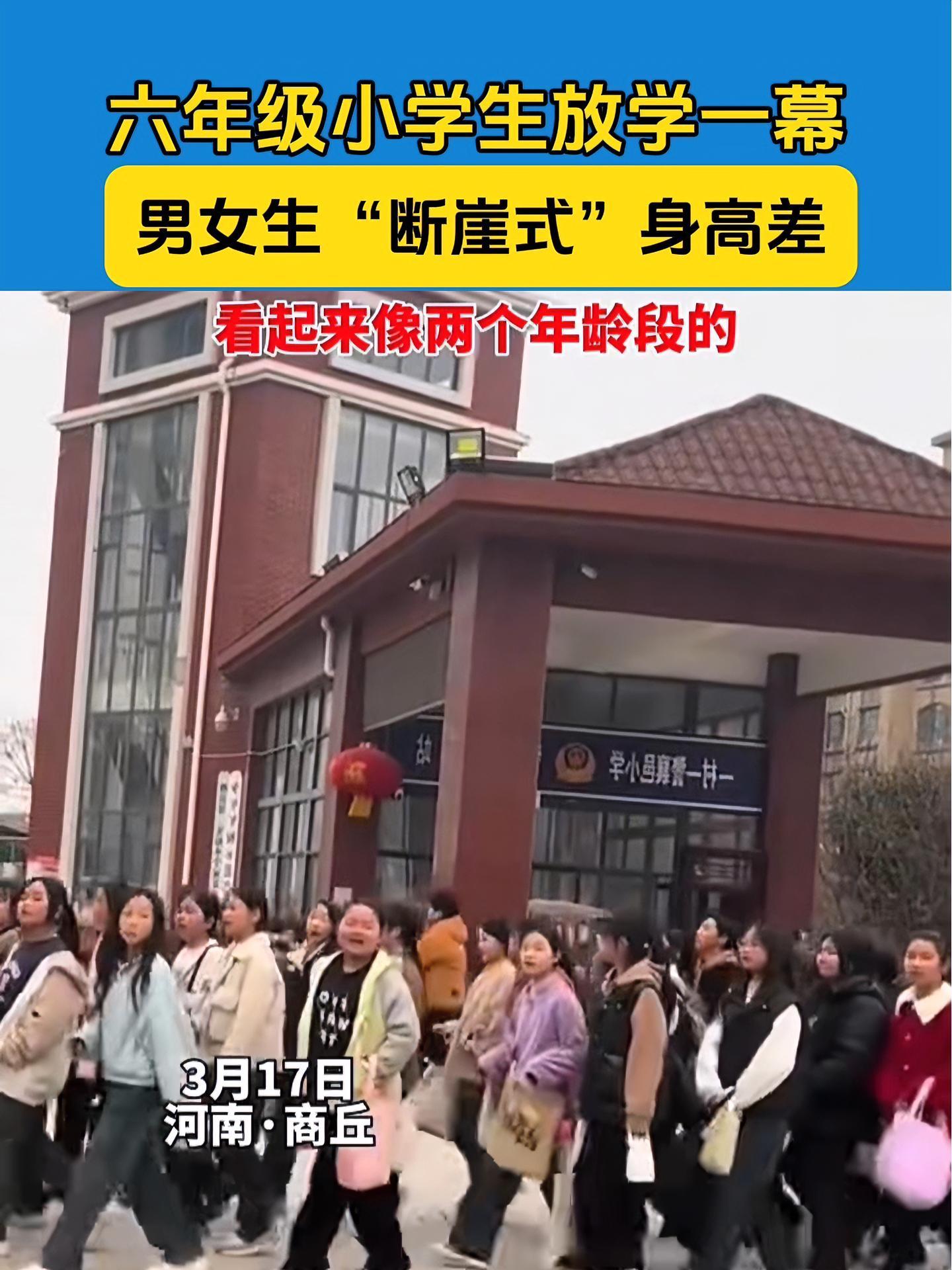 六年级小学生放学一幕男女生断崖式身高差看起来像两个年龄段的男生