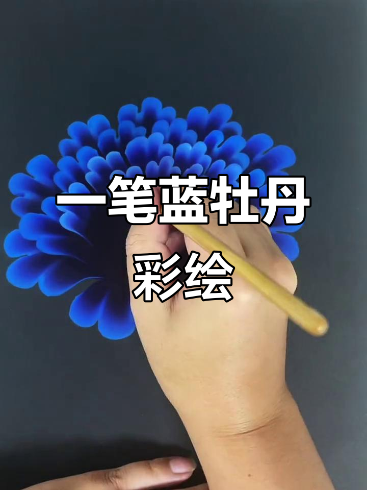 零基础学画蓝色牡丹,一笔画出3d效果