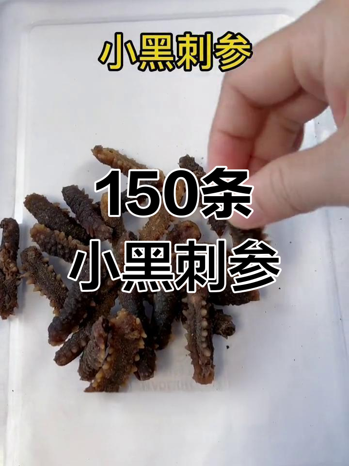 小黑刺参,泡发后肉质紧实