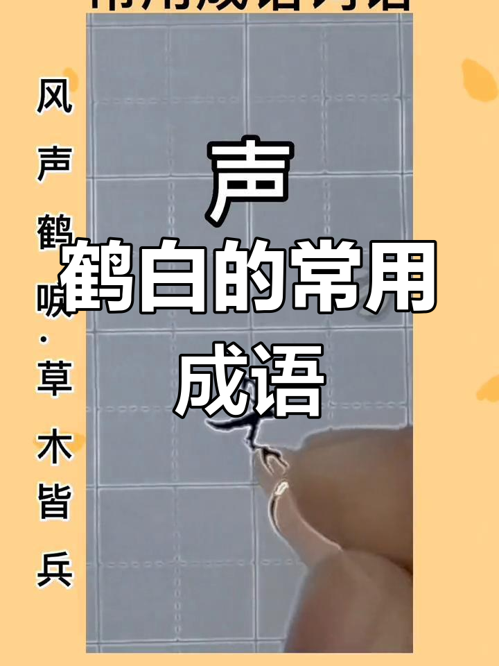 鹤白成语大揭秘,带你了解这些经典词汇