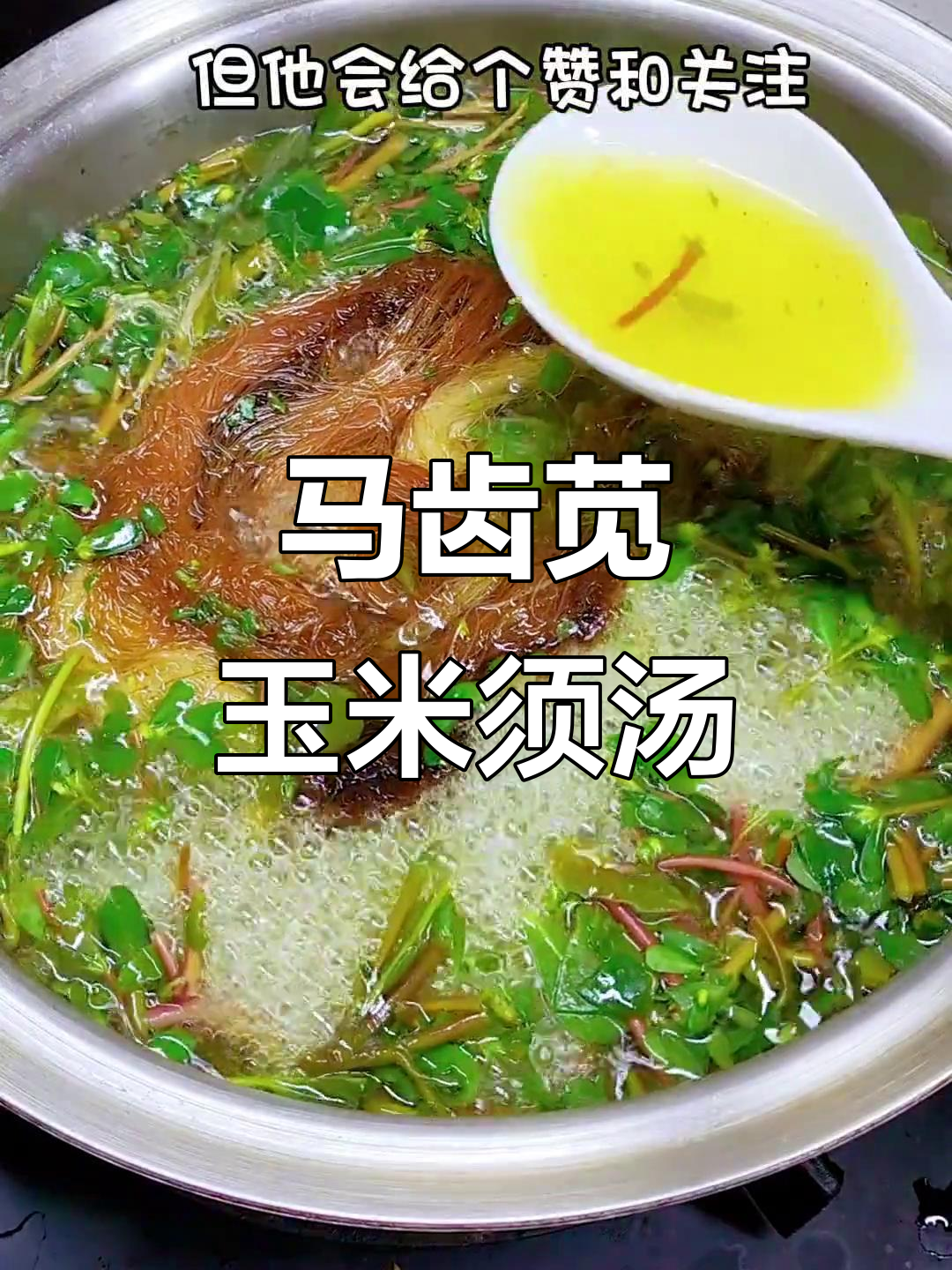 马齿苋与玉米须煮汤,竟有如此奇效!