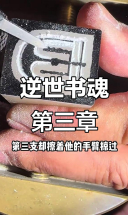 逆世书魂：儒与师格的生死时速，九蝶纹印石背后的秘密