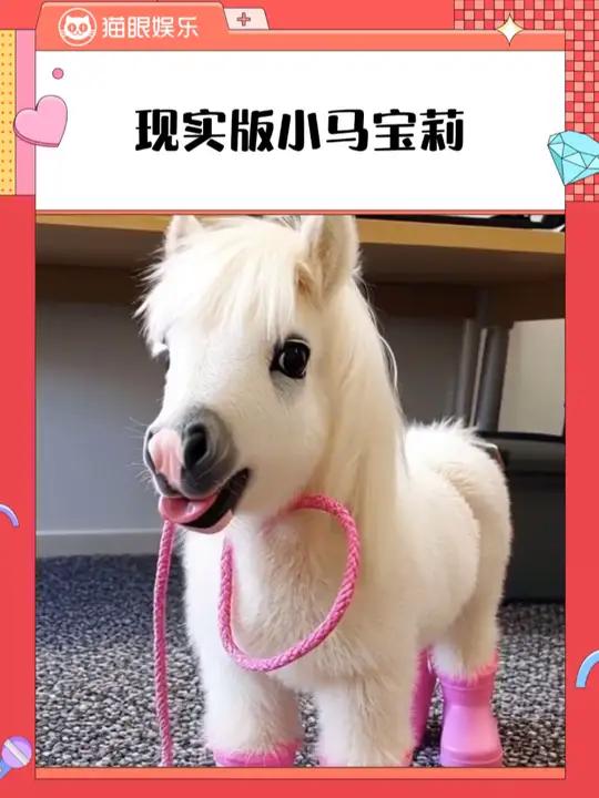 此时一头牛马宝莉悄悄留下眼泪 矮脚马小马宝莉父爱可爱亲情现实中的