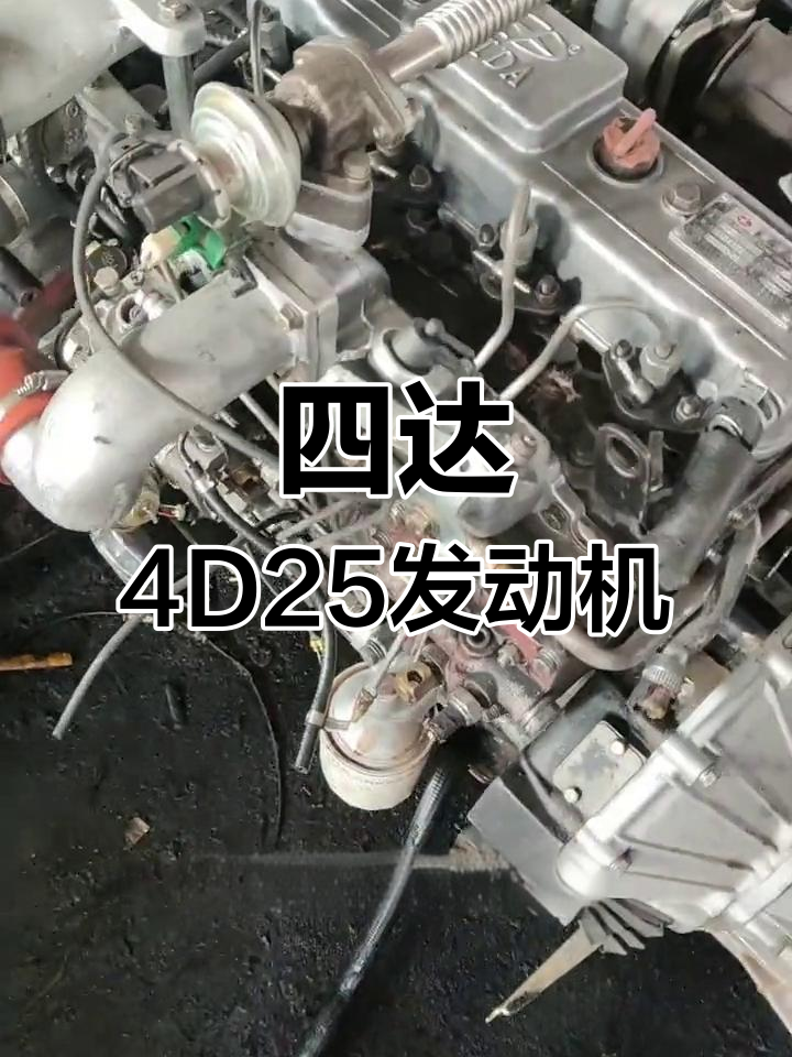 四达4d25u柴油发动机图片