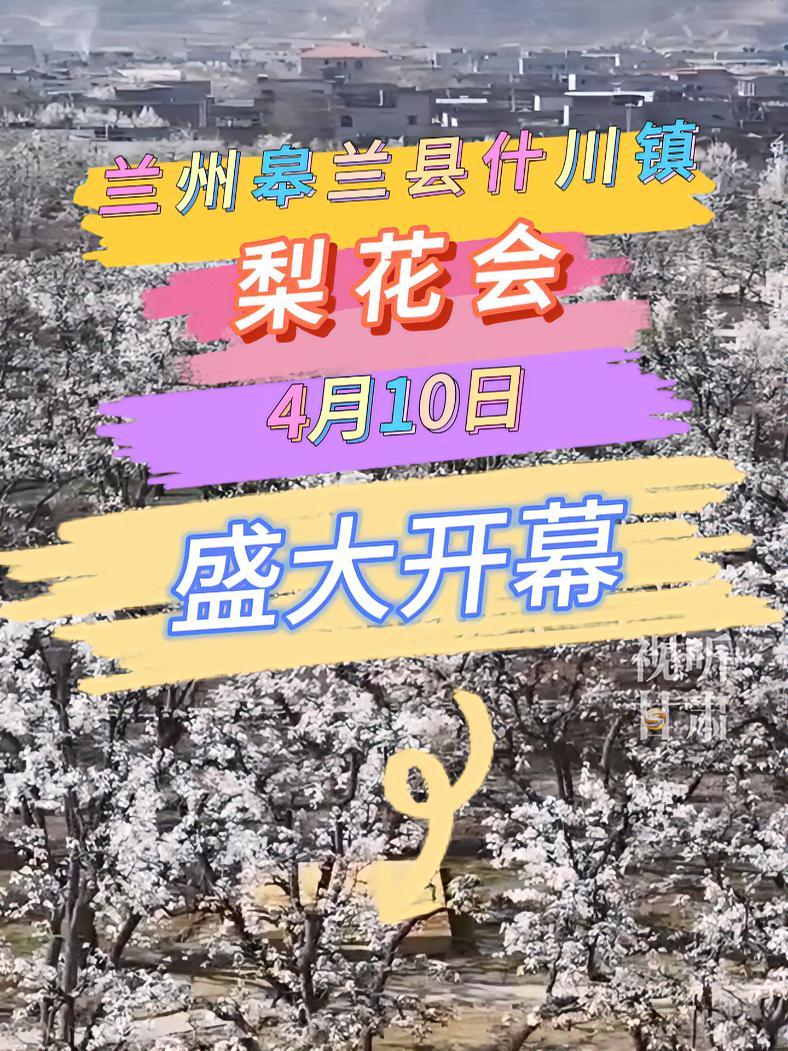 4月10日,皋兰什川梨花盛会等你来!
