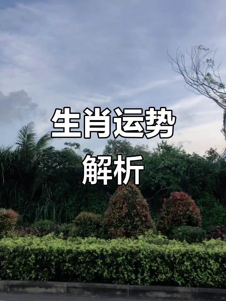 生肖马在兔年运势(属马人兔年运势2022运势详解)