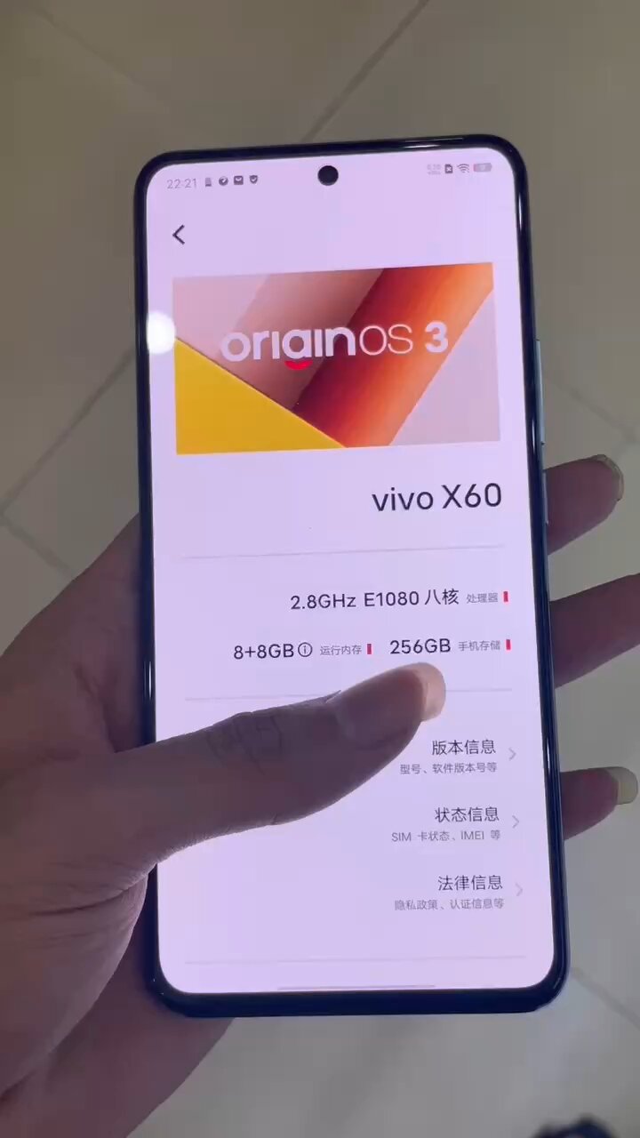 vivox60,8 256,oled屏幕