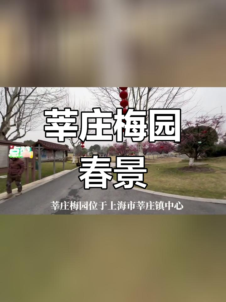 上海辛庄梅园图片