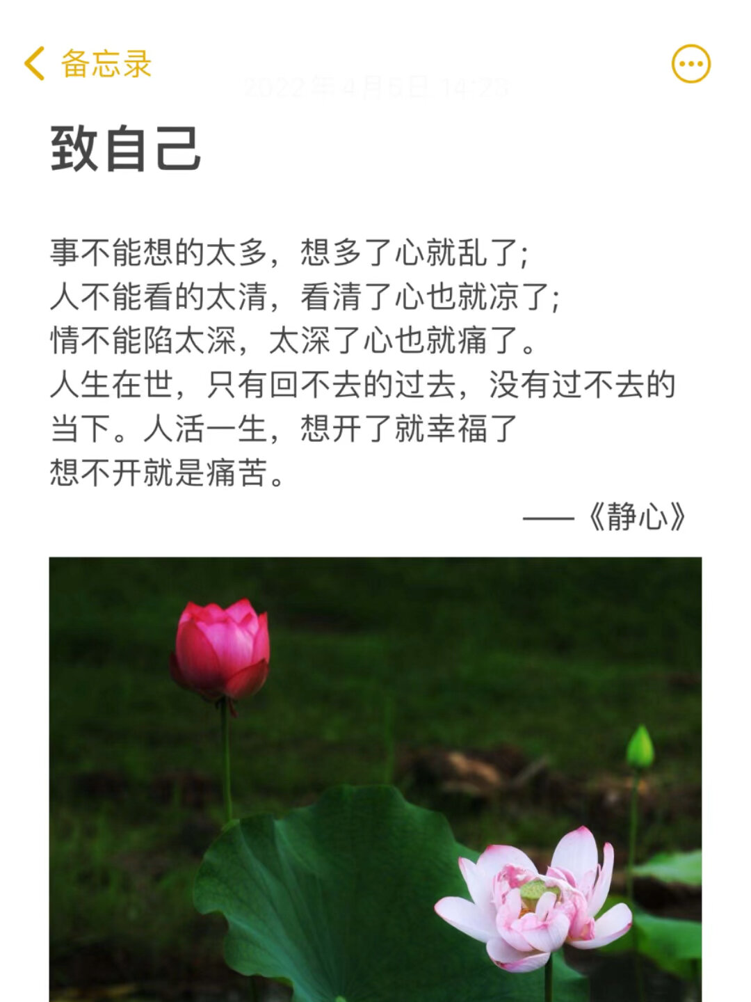 读书|《静心》人活一世,想开了就幸福