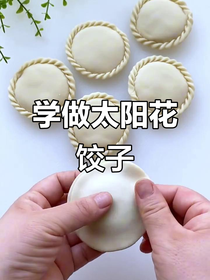 太阳花饺子包法,简单又好看