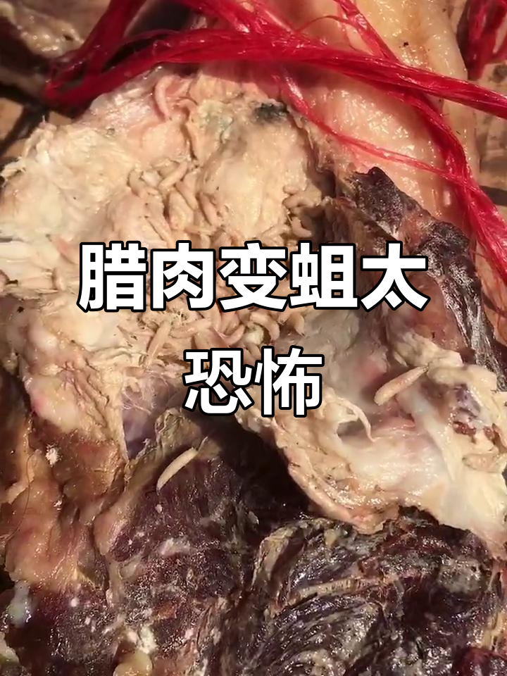 腊肉长蛆吓一跳,味道却让人怀念东北风味