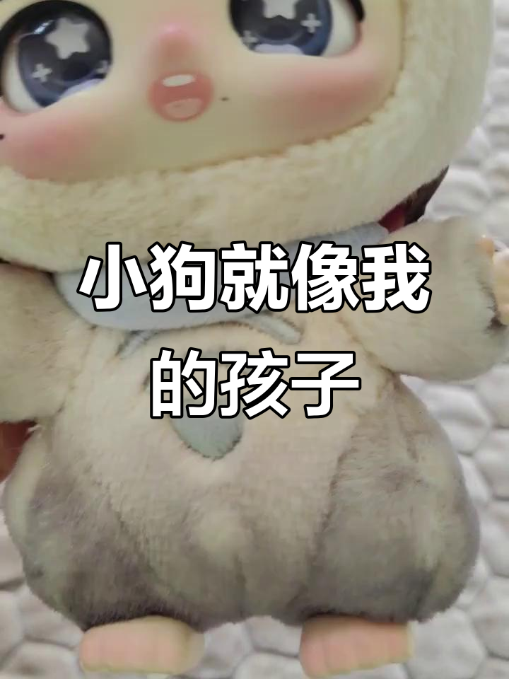 家里的小狗像儿子一样可爱,真让人喜欢