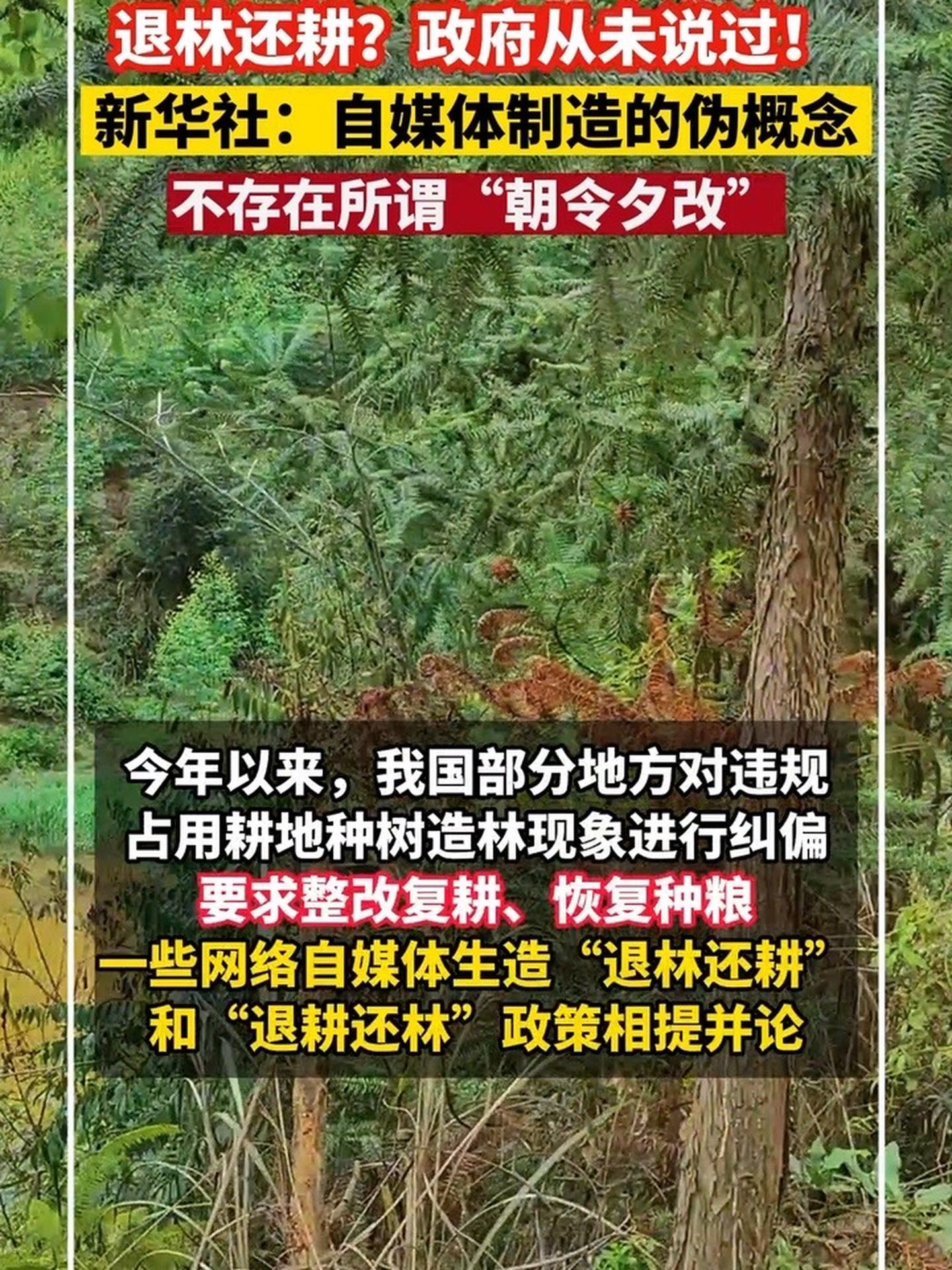 新华社:"退林还耕"?原来是个伪概念