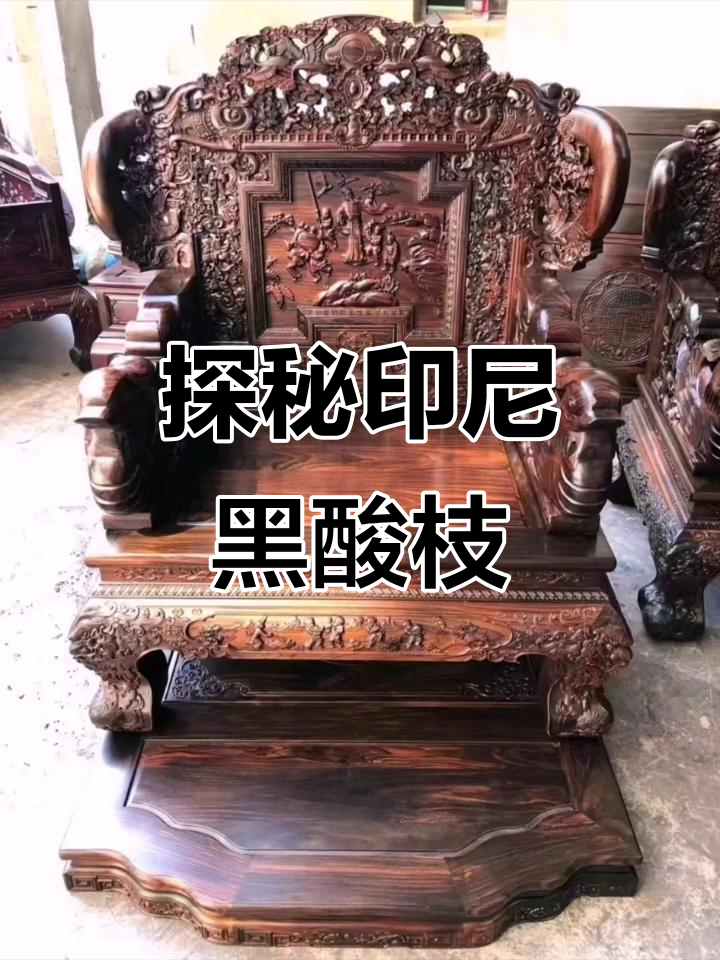 印尼黑酸枝的魅力与神秘,探索其独特风情