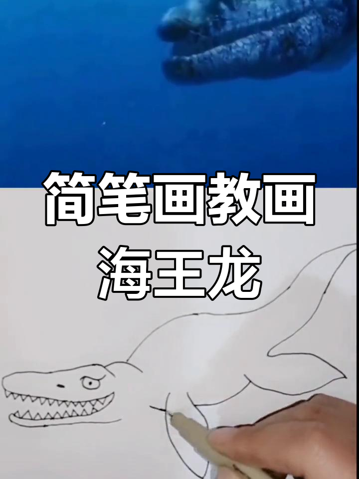 海王龙:海洋中的巨型掠食者