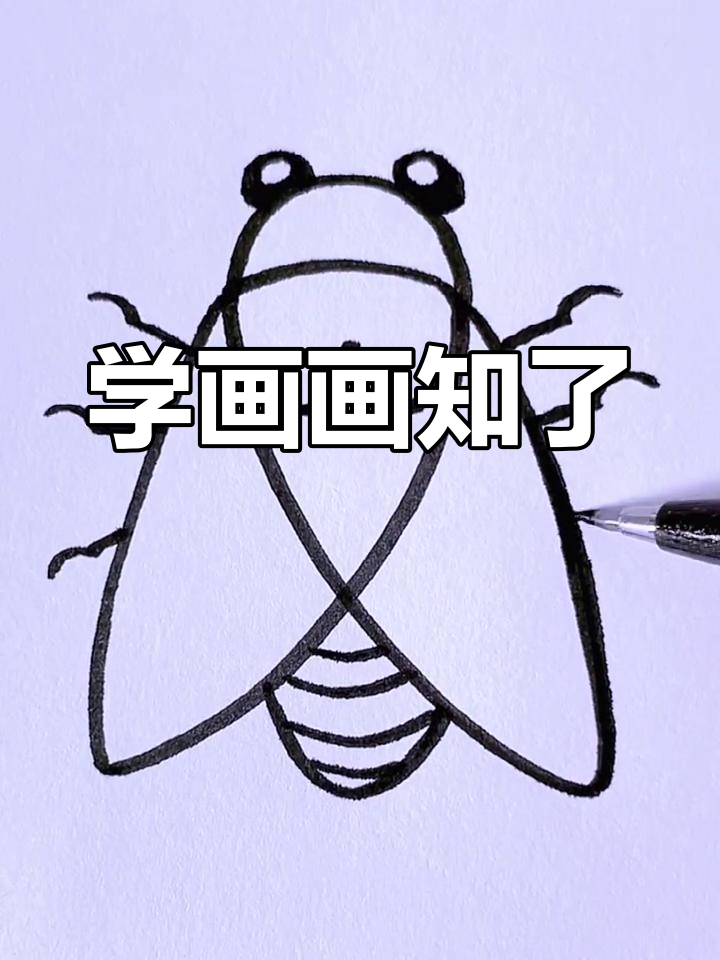 轻松学画知了,简单又有趣!