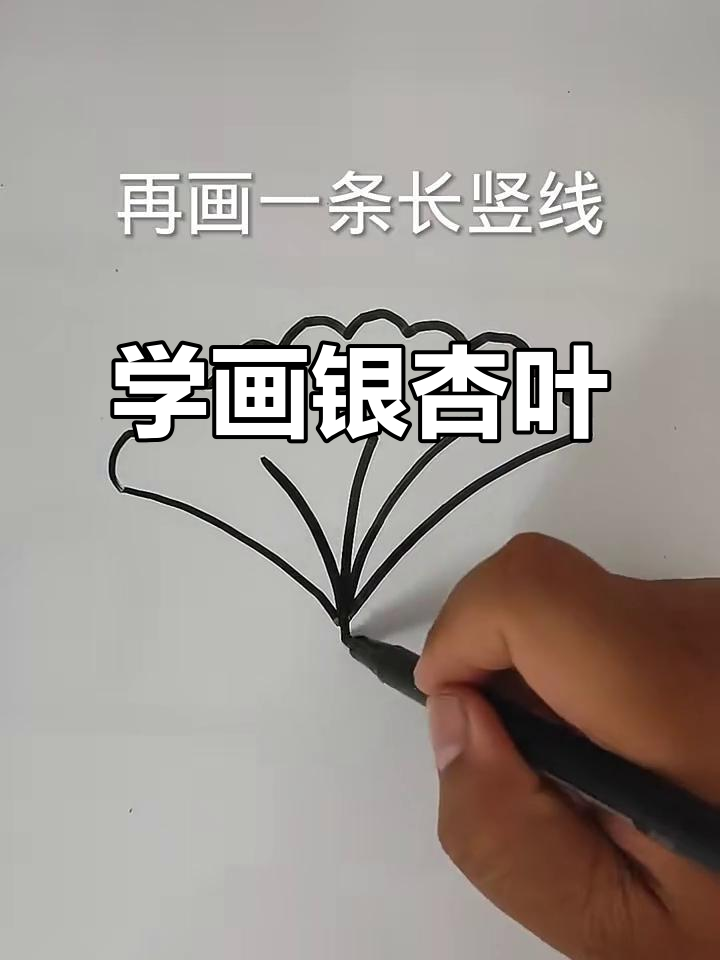 银杏叶的简单画法,轻松学会
