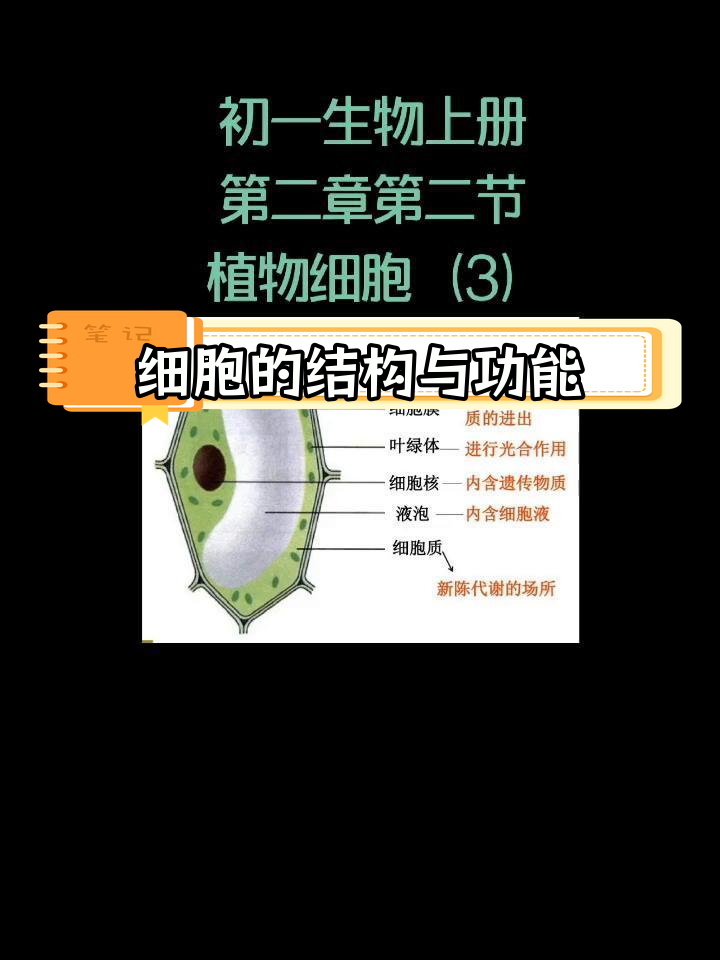 包含初中生物图解APP（细胞结构）的词条