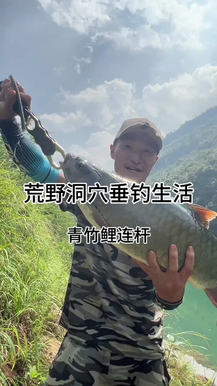水位稳定加上出太阳的北盘江,青竹鲤太好钓了