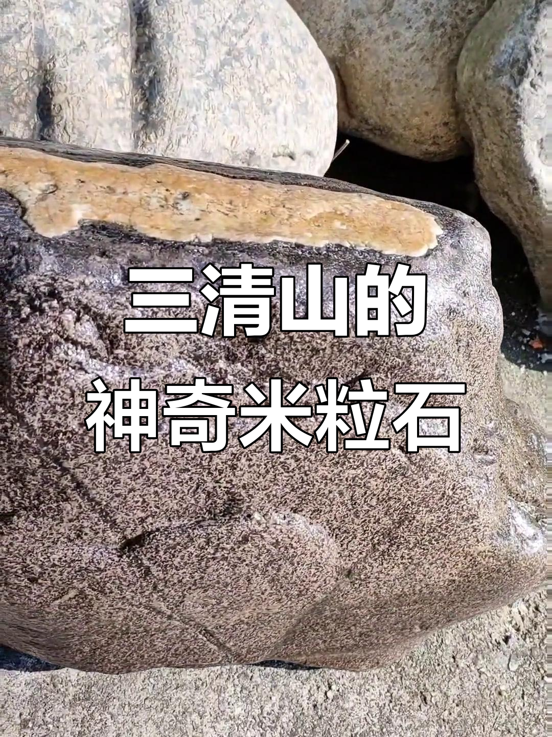 江西三清山奇特袖珍米粒石,细长如珍珠,美丽又神秘