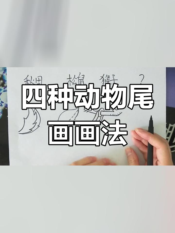 各种动物尾巴的画法图片