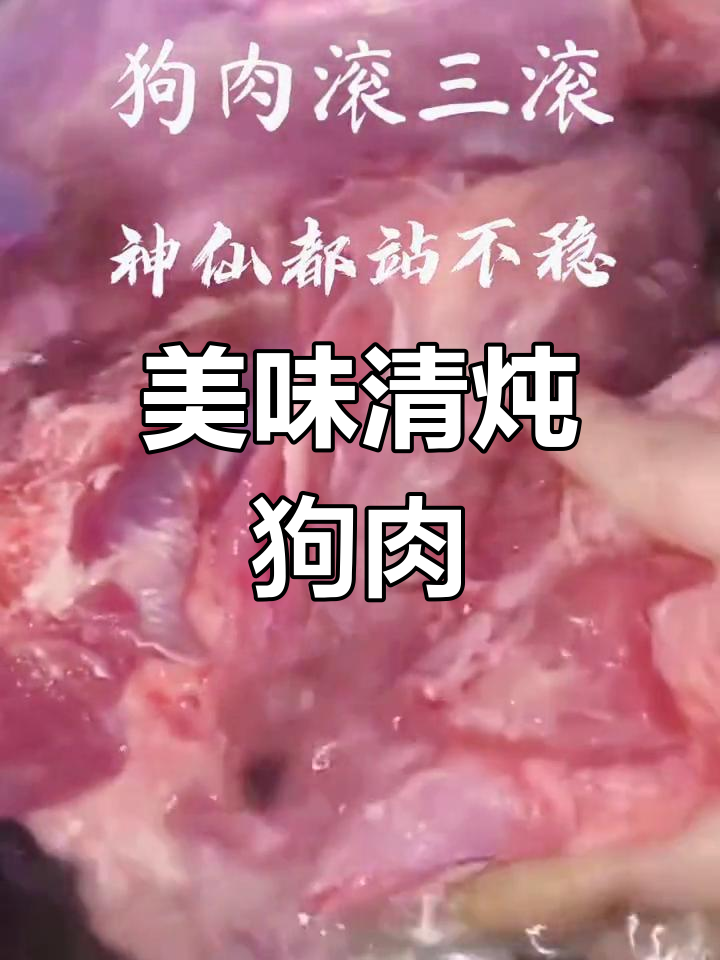 炖狗肉的做法及配料图片