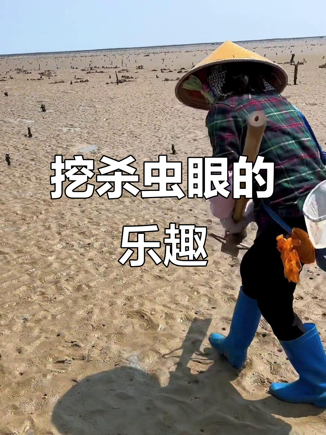 太阳下的沙虫眼大揭秘,赶海收获满满