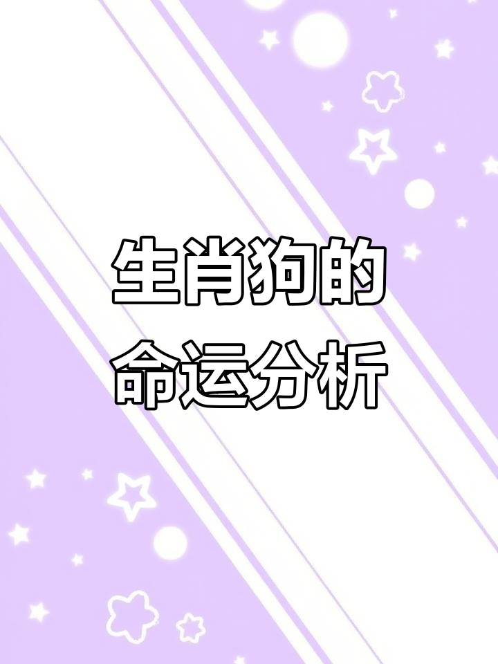 如何看生肖狗下周运势(生肖狗下半年)