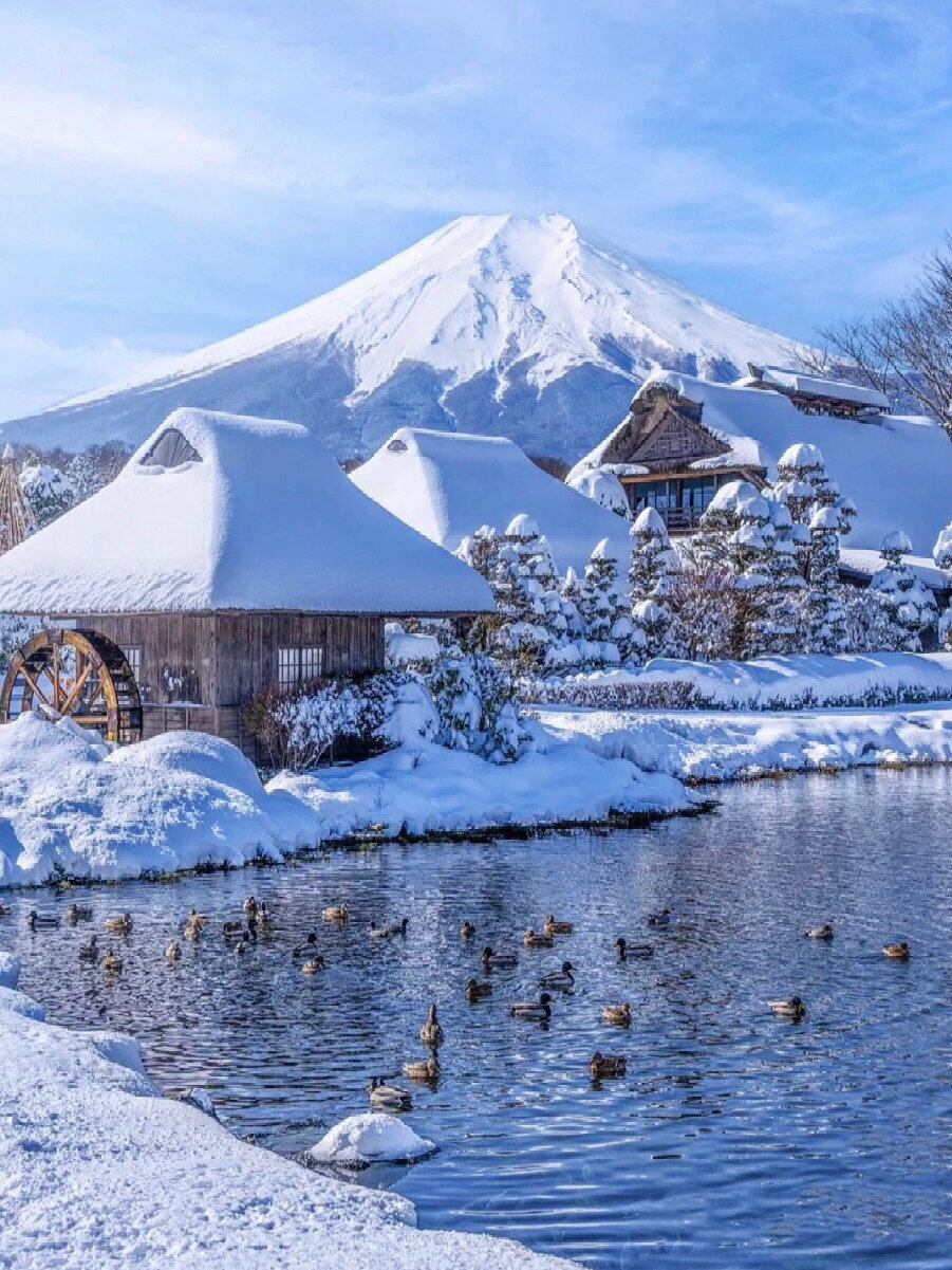 雪景富士山的绝佳机位!日本本地人强烈推荐