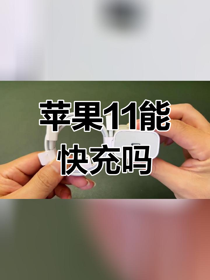 苹果11快充显示图标图片