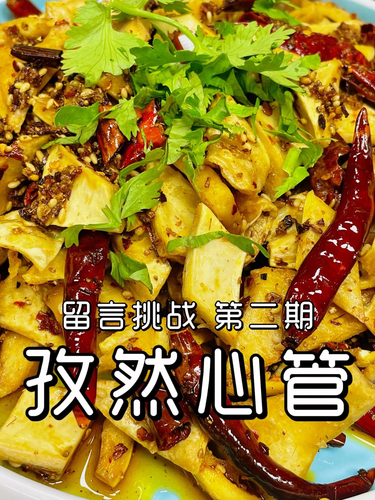 孜然心管