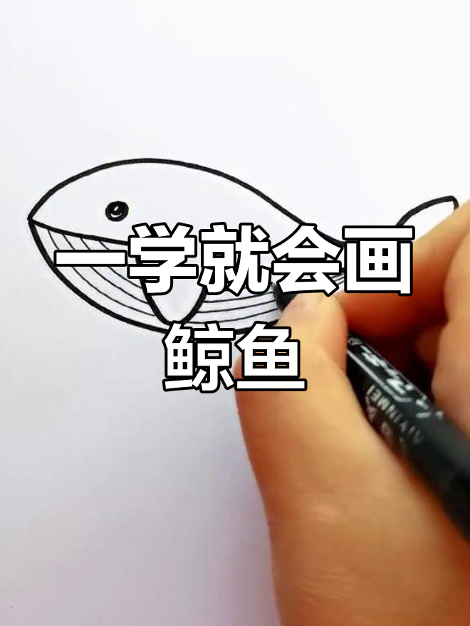 鲸豚简笔画图片