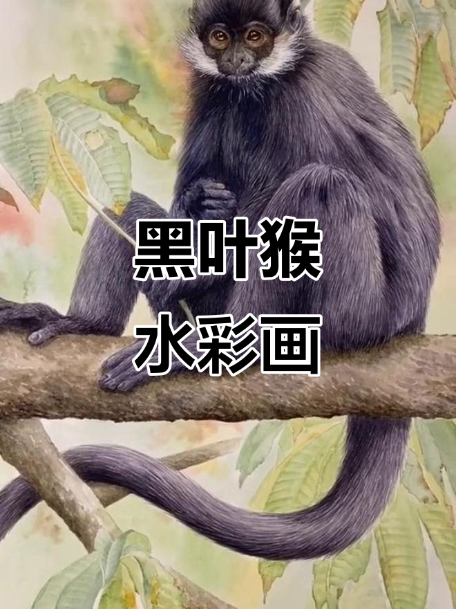 画一只活泼可爱的黑叶猴,水彩风格展示动物魅力