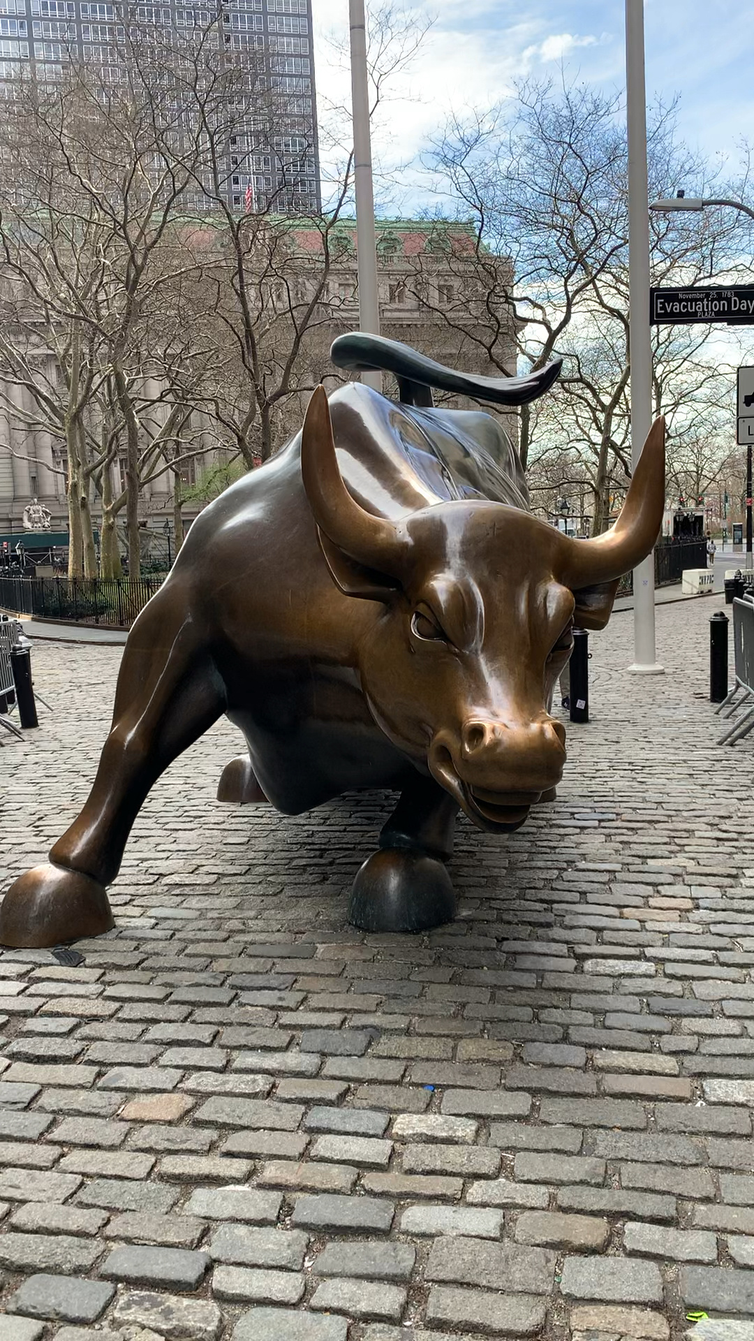 美国华尔街铜牛图片