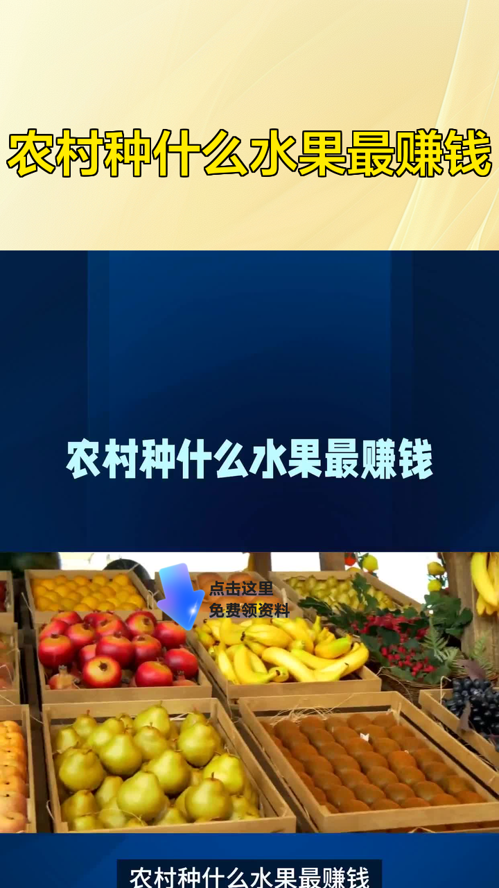 农村种什么效益好(农村种什么效益好一点)