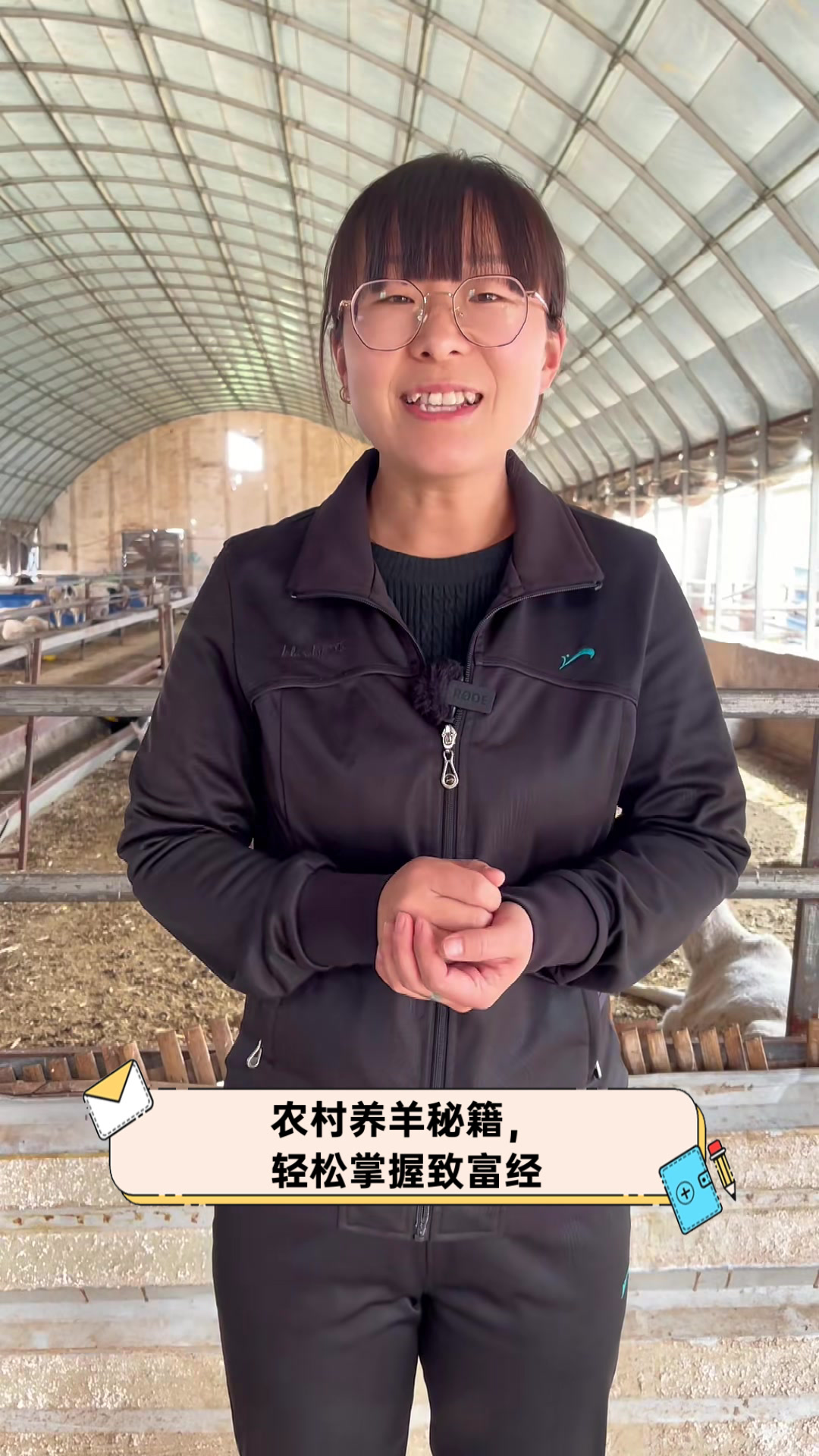 央视致富经2020年养羊全集视频(致富经养羊视频2020全集视频 视频)