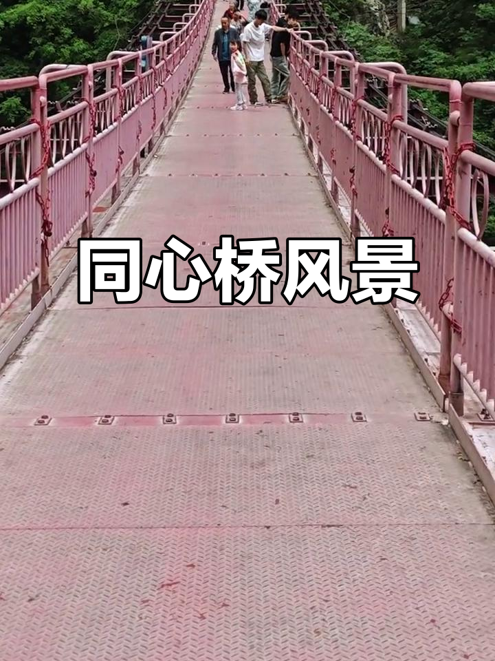 同心桥美景,感受大自然的呼吸