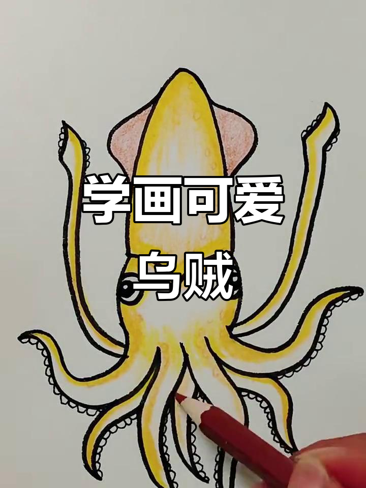 轻松画乌贼,步骤简单又有趣
