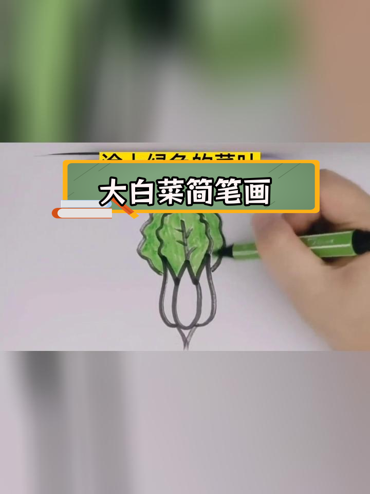 大白菜画法步骤图图片