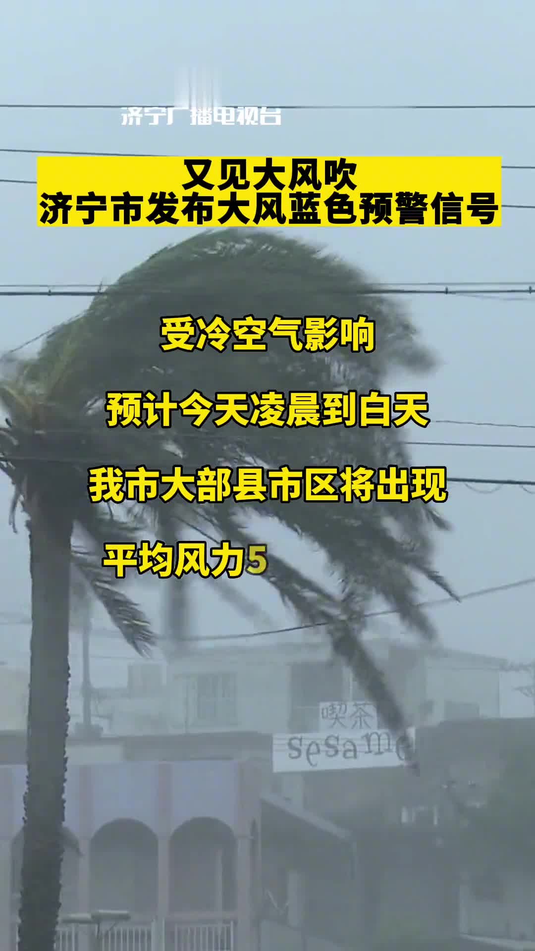 又见大风吹济宁市发布大风蓝色预警信号