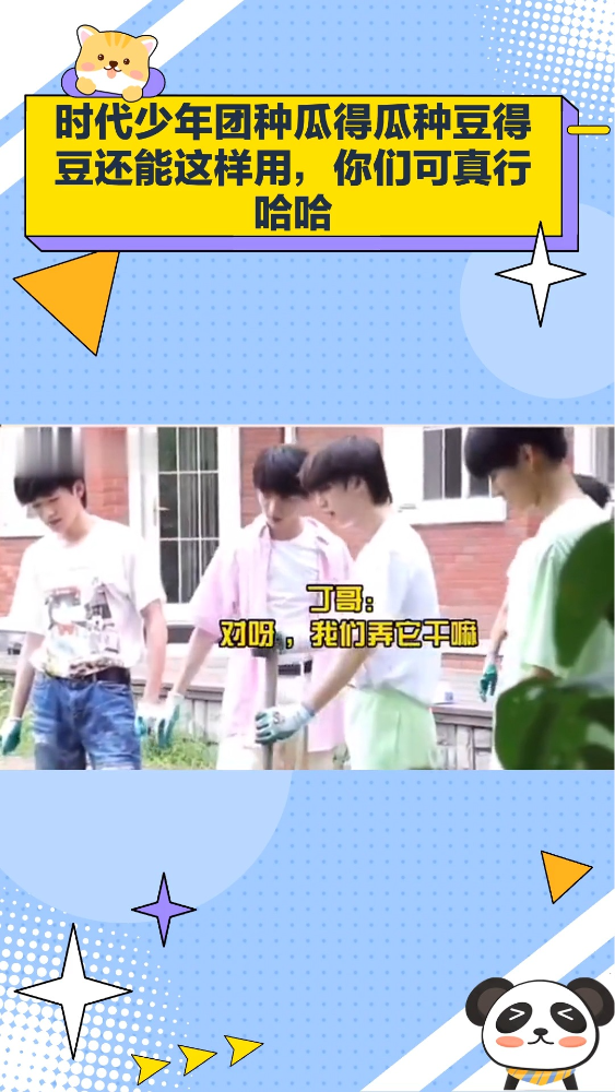 时代少年团种瓜得瓜种豆得豆还能这样用,你们可真行哈哈