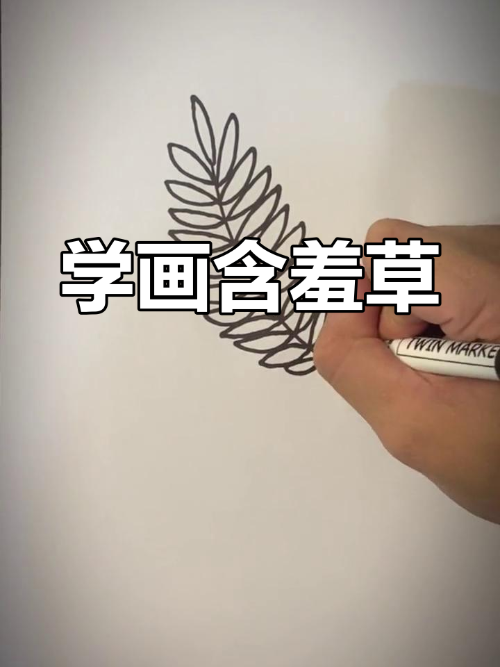 轻松学会画含羞草,简单又好看